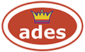Ades Performance Review logo